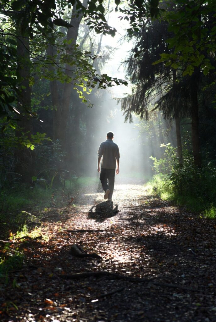 Mengubah Jalan Kaki Biasa Menjadi Ritual Harian yang Menyenangkan